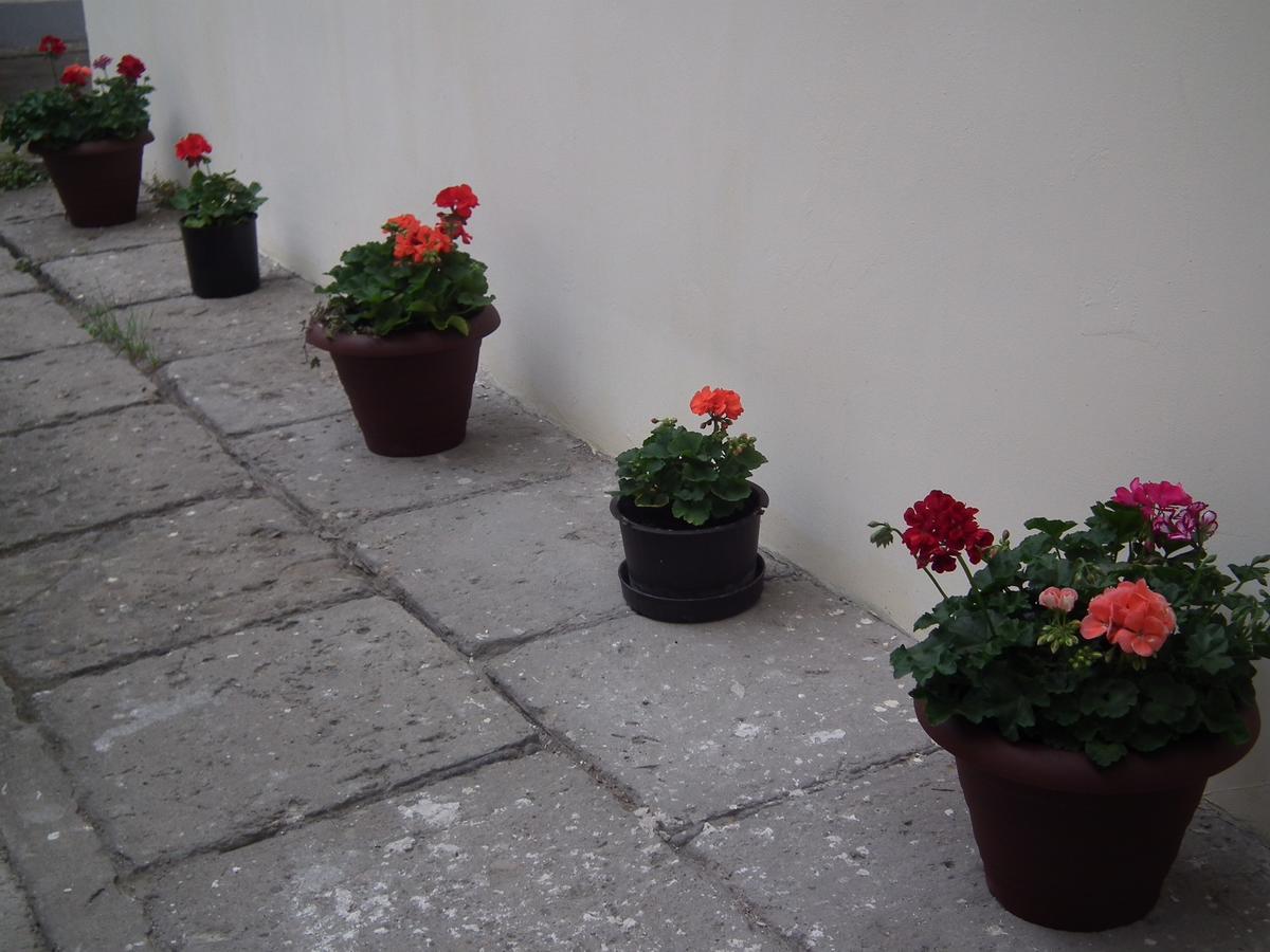 Apartament Bbb48 Cluj-Napoca Exteriör bild