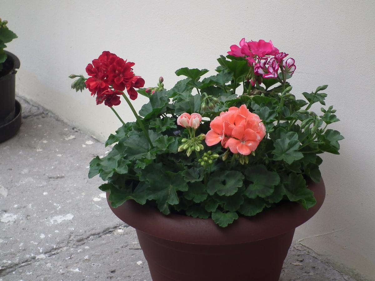 Apartament Bbb48 Cluj-Napoca Exteriör bild